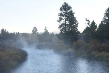 fog on the river