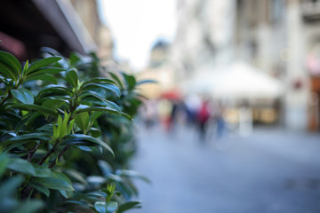 Blurred background of street and walking people