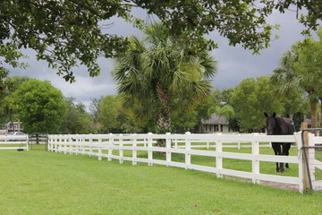 equestrian farm