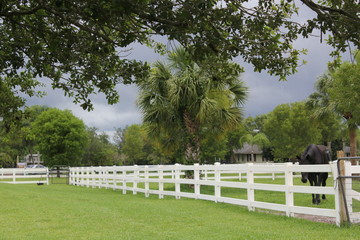 equestrian farm