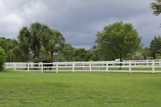 equestrian farm