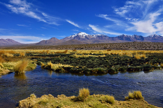 Isluga National Park, Tarapaca, Chile