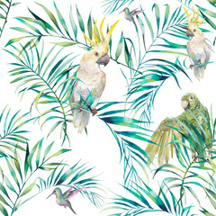 Fototapety  Watercolor tropical seamless pattern. Vibrant wallpaper with exotic birds, leaves and branches on white background. Palm tree and cockatoo, parrots, colibri