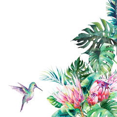 Watercolor humming bird template. Hand drawn card design with colibri, exotic leaves and branches isolated on white background. Palm tree, banana leaves, mostera plants