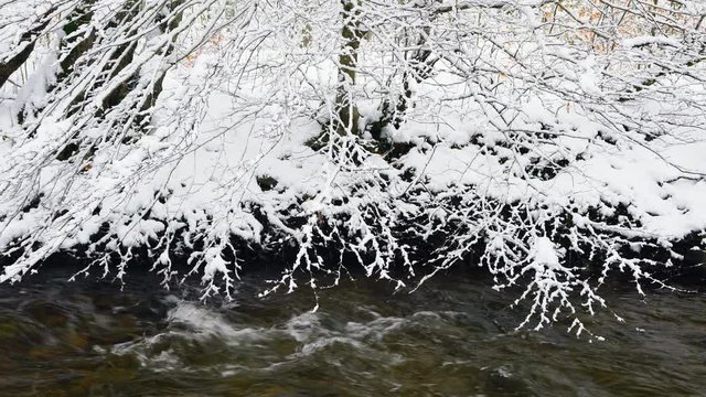 Bayas or Baias River, Gorbeia Natural Park, Alava, Basque Country, Spain, Europe