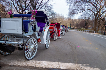 horse and carriage recreational rides in Central Park new york city