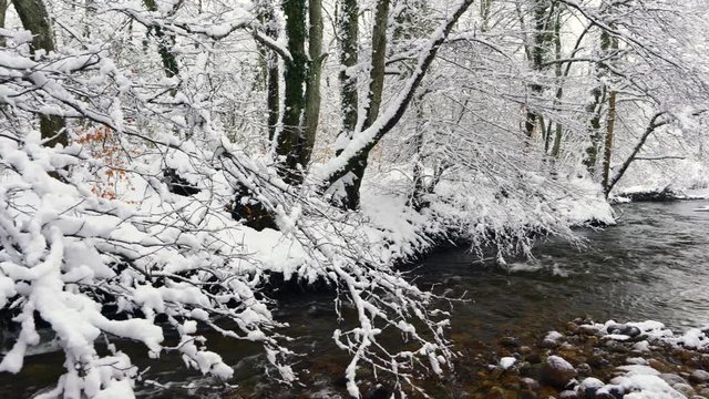 Bayas or Baias River, Gorbeia Natural Park, Alava, Basque Country, Spain, Europe