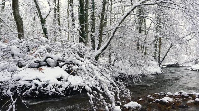 Bayas or Baias River, Gorbeia Natural Park, Alava, Basque Country, Spain, Europe