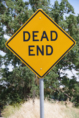 A bright yellow-orange Dead End street sign in a rural environment with trees behind