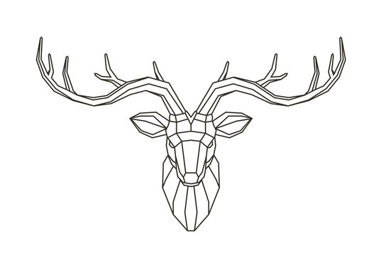 Geometric deer head. Abstract animal. Low poly line art vector illustration