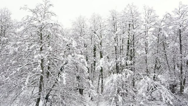 Gorbeia Natural Park, Urcabustaiz, Alava, Basque Country, Spain, Europe