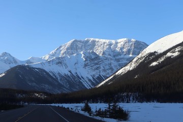 Fototapeta na wymiar Road Trip Through Jasper National Park
