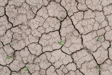 The texture of the dried cracked earth.