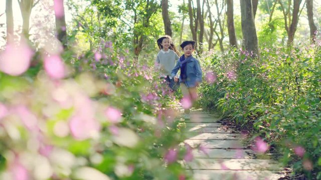 beautiful little asian girl and boy sister and brother running on flagstone path through flower blossom in park