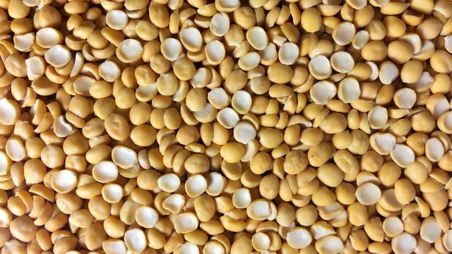 Yellow split dried peas 