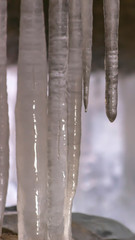 Vertical Close up view of smooth and shiny icicles under a bridge in winter