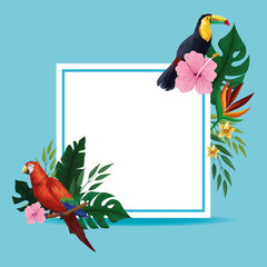 Summer tropical blank card frame