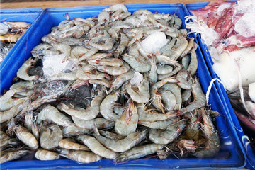 Fresh shrimp Chilling on Bed of Cold Ice in Seafood Market Stall