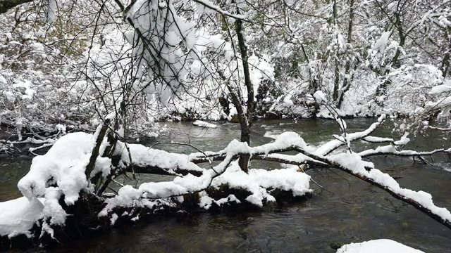 Bayas or Baias River, Gorbeia Natural Park, Alava, Basque Country, Spain, Europe