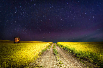 night time shot of gravel road running through wheat field