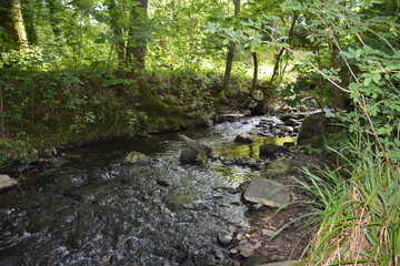 Saint-Herblain - Parc de la Chézine