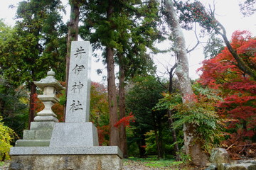 Fototapeta na wymiar 滋賀県彦根市にある井伊神社の社号標と石灯籠のある秋景色