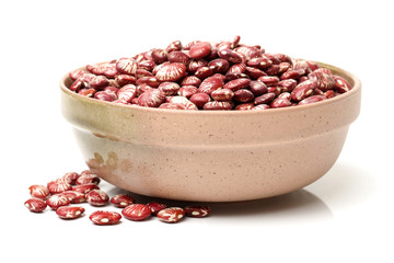 Phaseolus vulgaris on White Background 