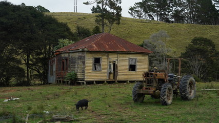 Abandoned farm in coromandel