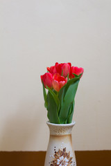 A bouquet of red tulips. Red flowers . Bouquet for the holiday.