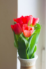 A bouquet of red tulips. Red flowers . Bouquet for the holiday.
