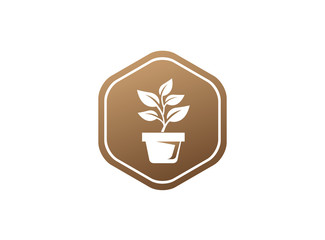 Plant in the Pot with some leaves for logo Design, illustration in a shape