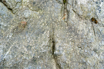 Texture of A Stone Surface
