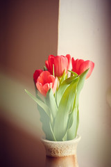 A bouquet of red tulips. Red flowers . Bouquet for the holiday.