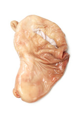 pig's organs on white background 