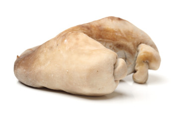 Boiled pig's organs on white background 