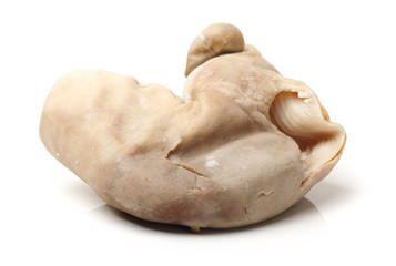 Fototapeta premium Boiled pig's organs on white background 