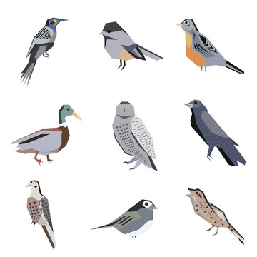 Bird pattern flat illustration on white