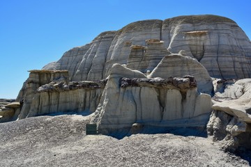 Petrified Wood Bisti Badlands New Mexico Hoodoos Formations Weird