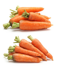 Fresh carrot on a white background
