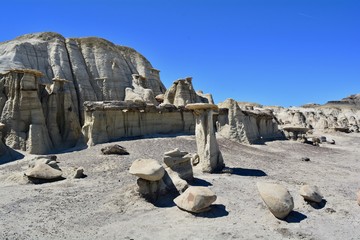 Petrified Wood Bisti Badlands New Mexico Hoodoos Formations Weird