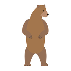 Standing bear flat illustration on white