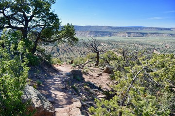 Fototapeta na wymiar Red Rock Park Gallup New Mexico Desert Hiking Sandstone View