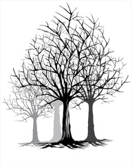 dry tree on artline vecor  for background illustration 