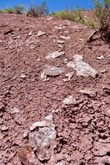 Mica at Painted Desert Petrified Forest National Park Arizona