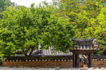 Fototapeta premium An entrance to the Joseon Dynasty pavilion surrounded by wooded forests, south korea.