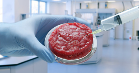 Close up of a scientist is inspecting and analyzing with syringe the cultured artificial meat...