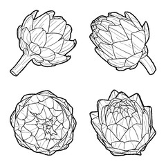 Artichokes - Globe Vector Illustration Hand Drawn Vegetable Cartoon Art