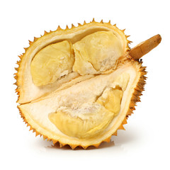 Fototapeta premium durian on white background.