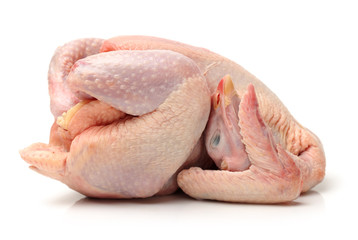 Raw chicken on ah white background