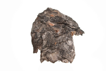 tree bark isolated on white background
